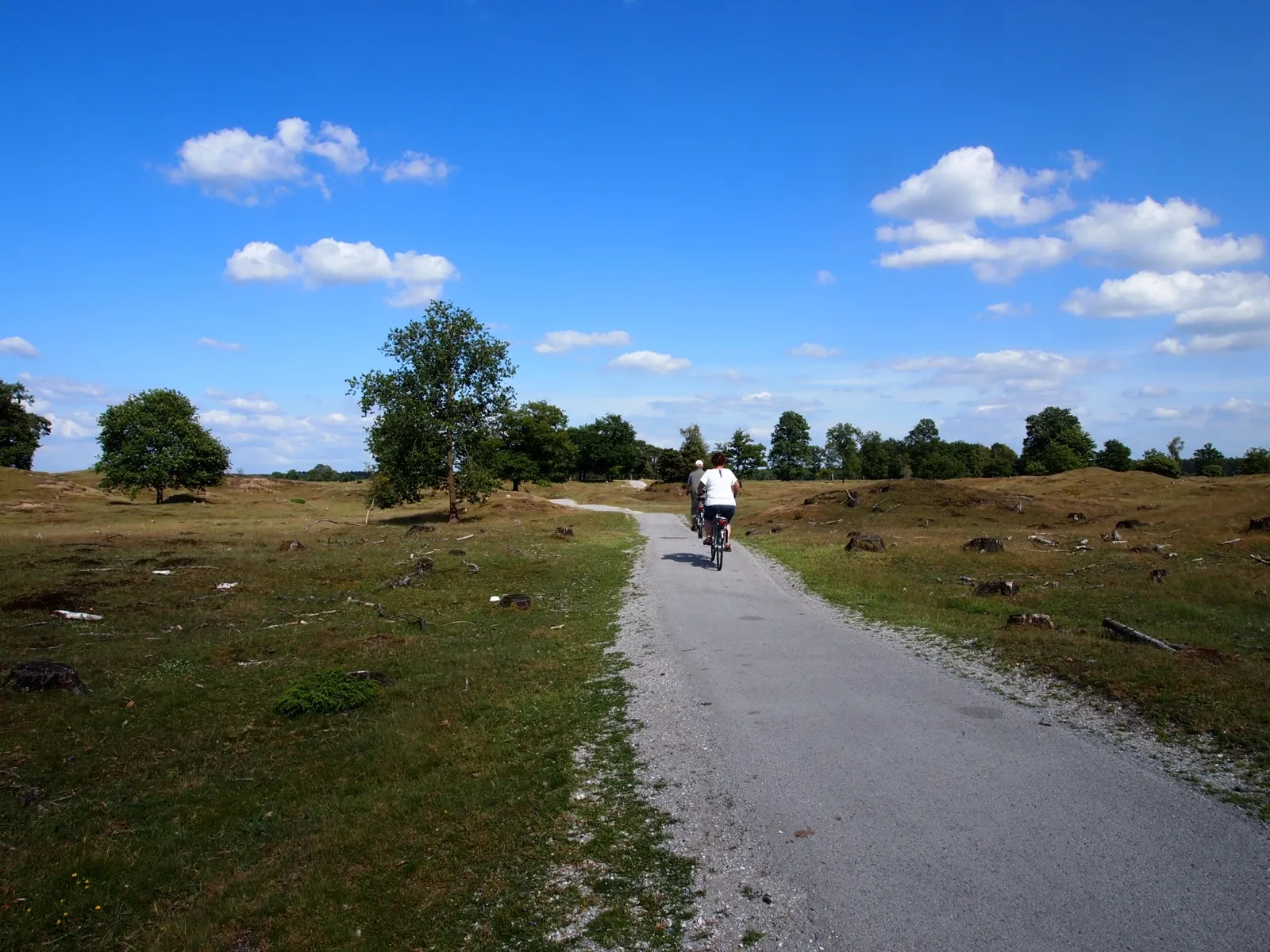 Fietser op een verhard fietspad door de heide van het Nationaal Park Drents-Friese Wold onder een blauwe lucht