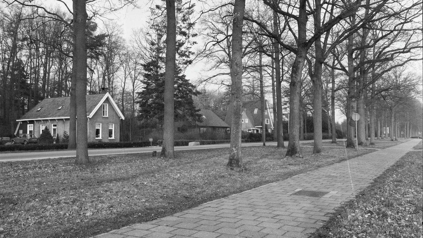 Met bomen omzoomde laan bij Frederiksoord met een historische koloniewoning, in de Koloniën van Weldadigheid