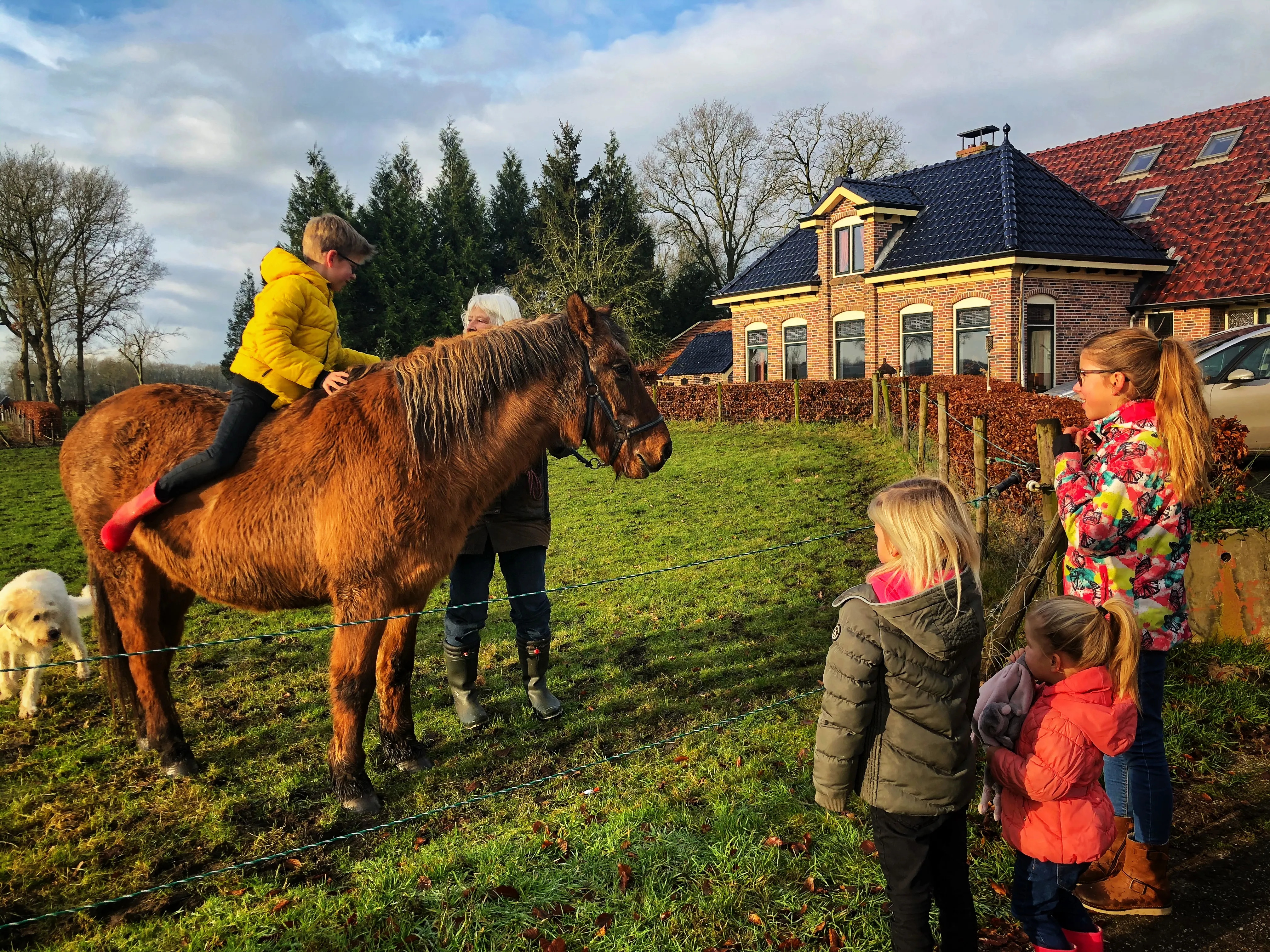 Jan en Hanneke met hun honden en een pony op het erf, met de boerderij op de achtergrond