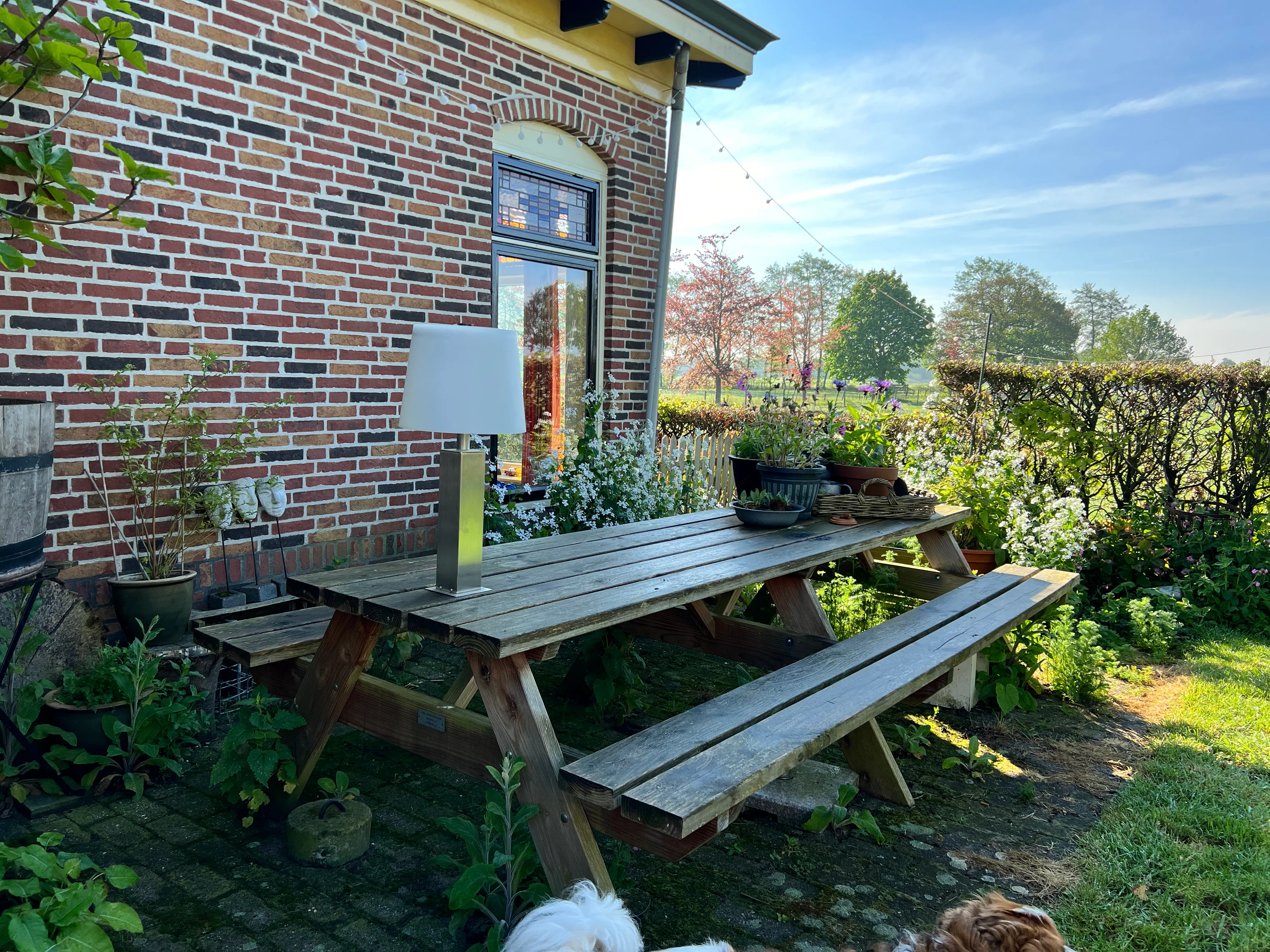 Houten picknicktafel tegen de gevel van de boerderij, met bloemen en zonlicht op het erf