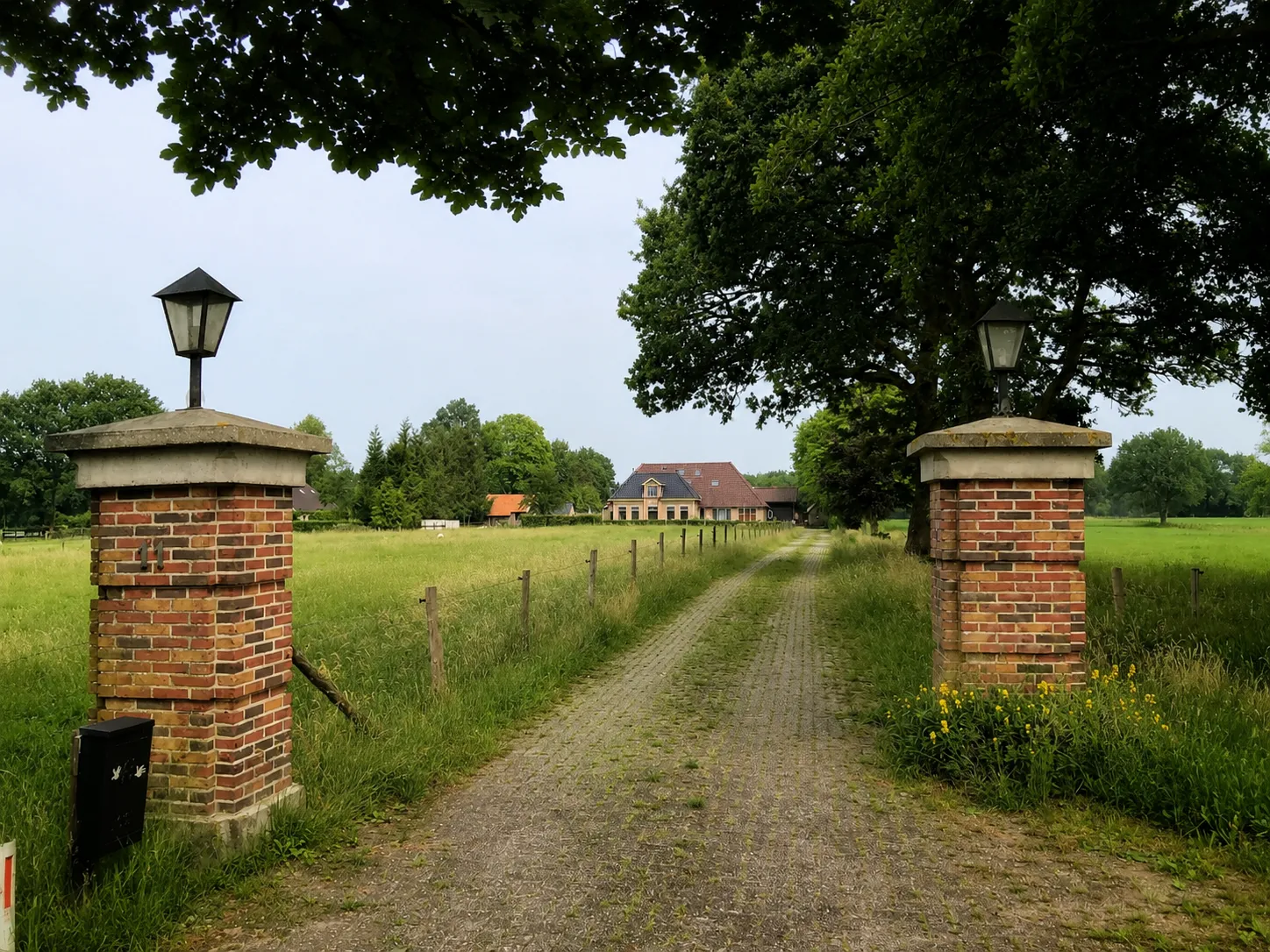Vooraanzicht van de boerderij van Bed en Breakfast Zandhuizen vanaf de oprijlaan